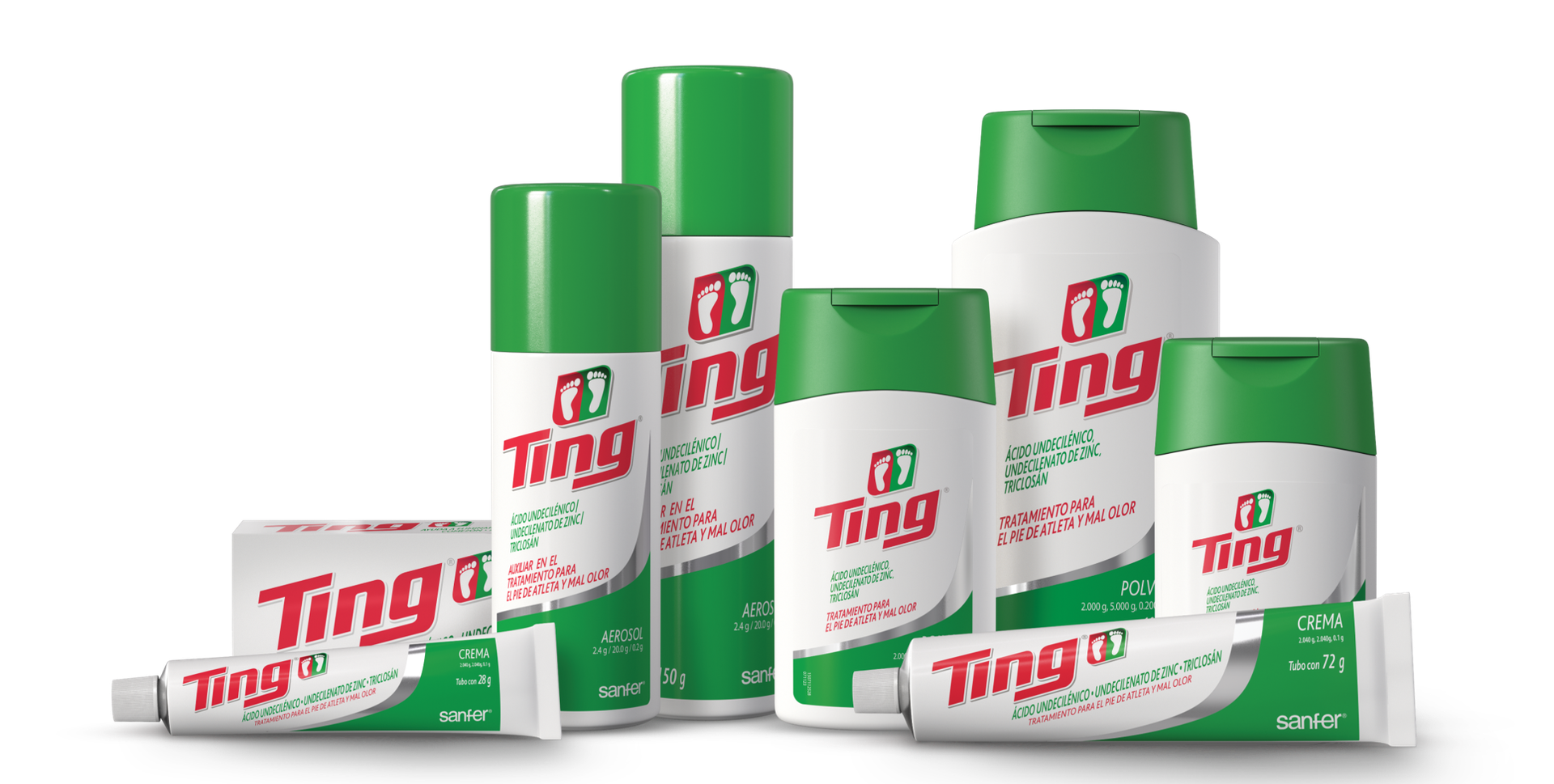 Familia Ting Completa